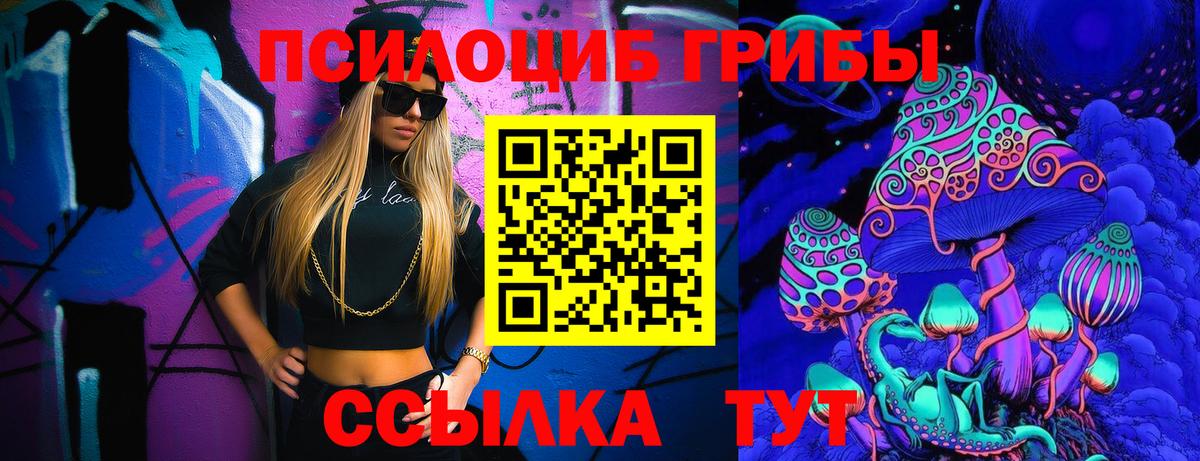 Псилоцибиновые грибы мицелий Находка