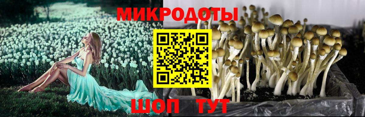 Находка  Галлюциногенные грибы ЛСД  Вход с VPN 